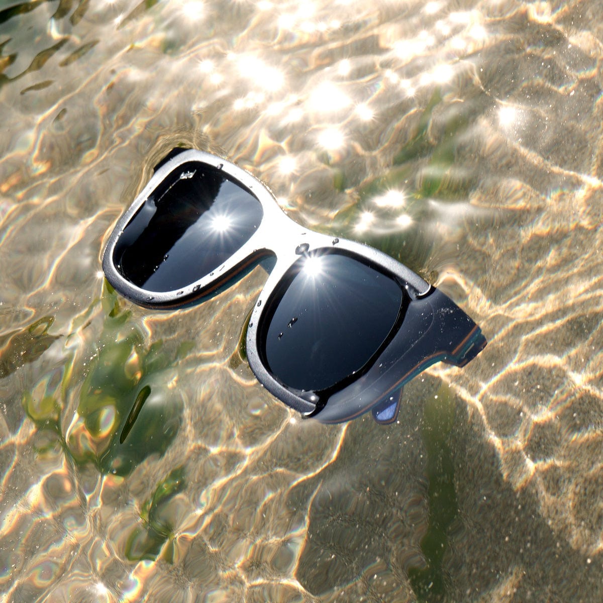 we-make-buying-your-favorite-black-wooden-framed-sunglass-petrel-black-by-bird-eyewear-online-now_6.jpg